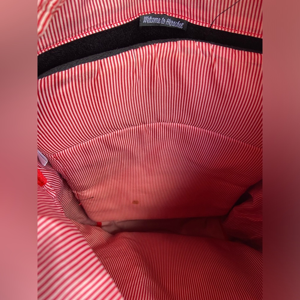 Hershel Grey Backpack - image 3